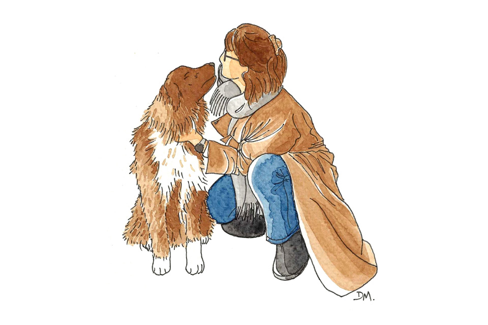 portrait d'animal à partir d'une photo