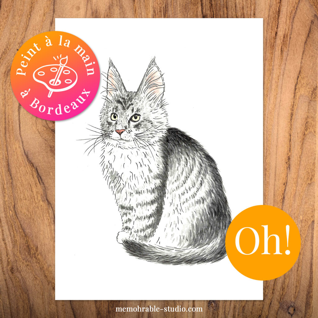dessin chat aquarelle à partir d'une photo