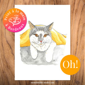 dessin chat à partir d'une photo