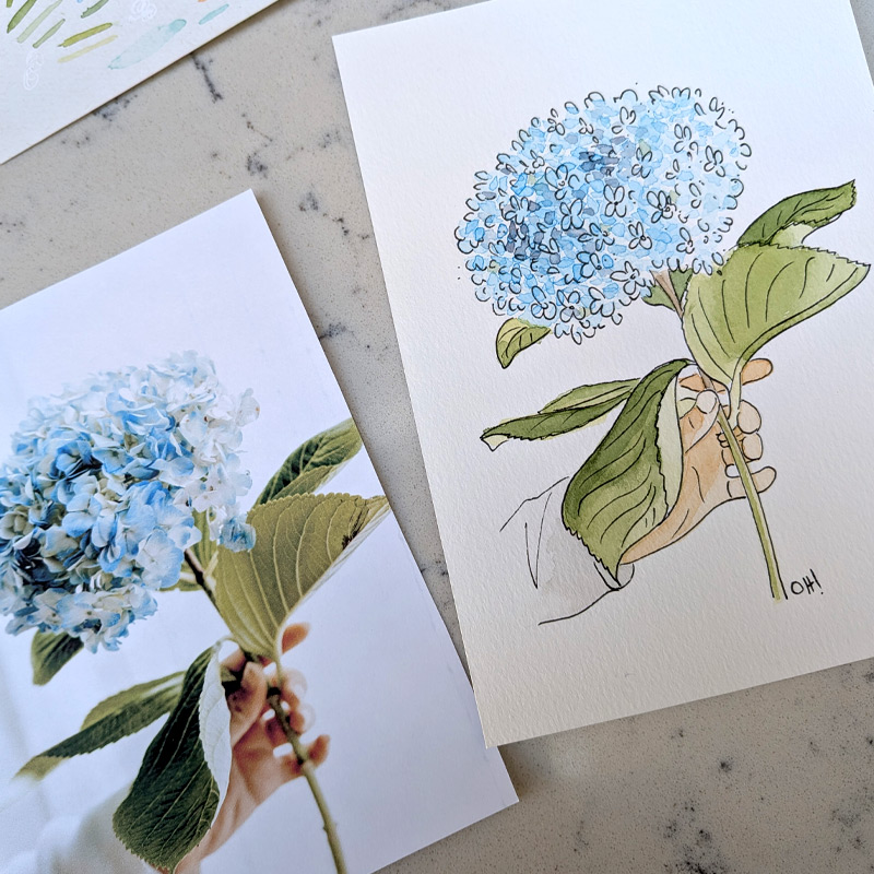 peindre un hortensia à l'aquarelle