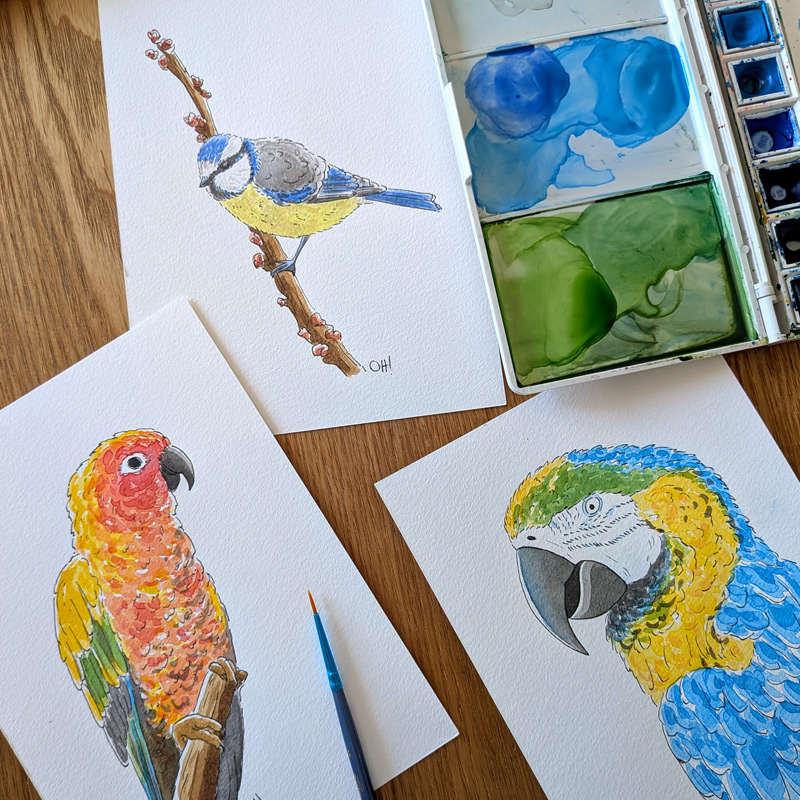 atelier aquarelle à bordeaux