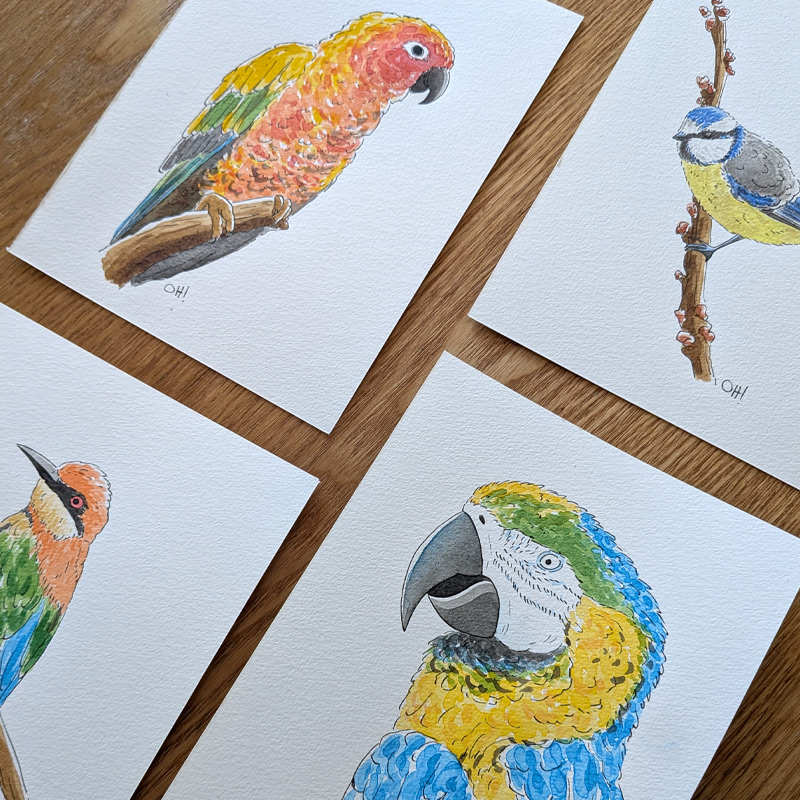 cours d'aquarelle à Bordeaux