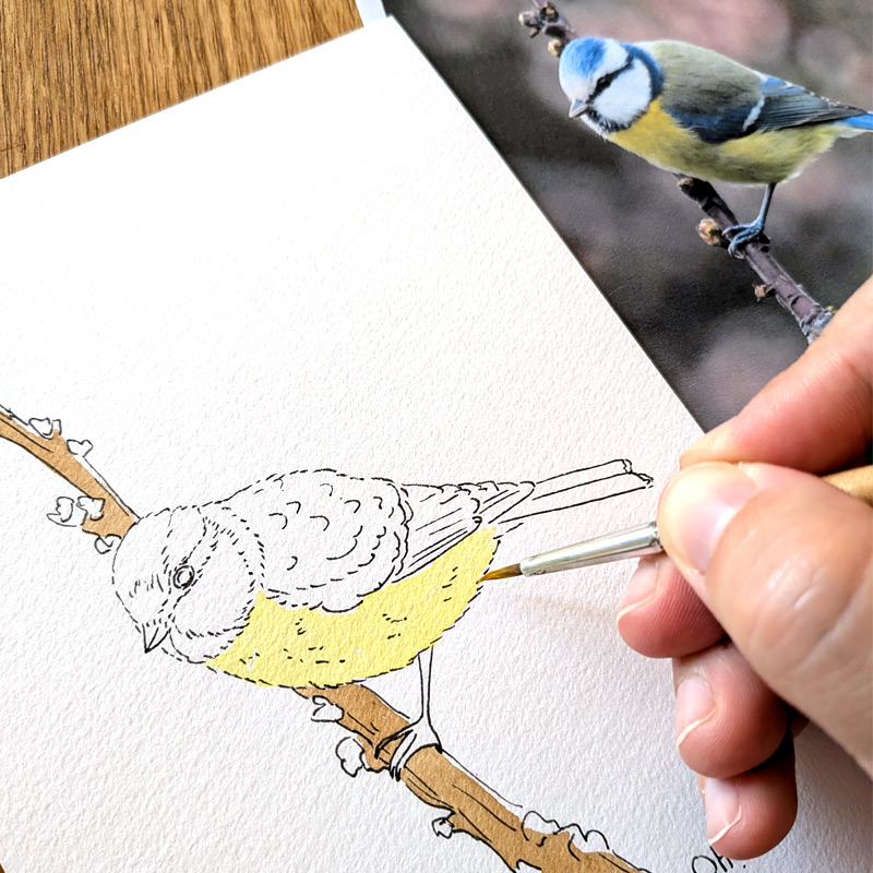 modèle pour peindre un oiseau
