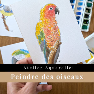 peindre un oiseau à l'aquarelle